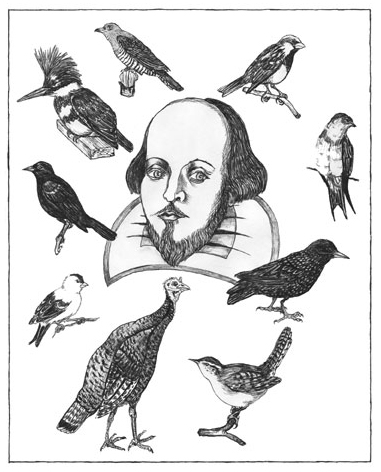 birds-of-shakespeare