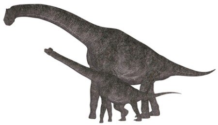 xbrachiosaurus-dinosaur.jpg.pagespeed.ic.fha7ejhjvm